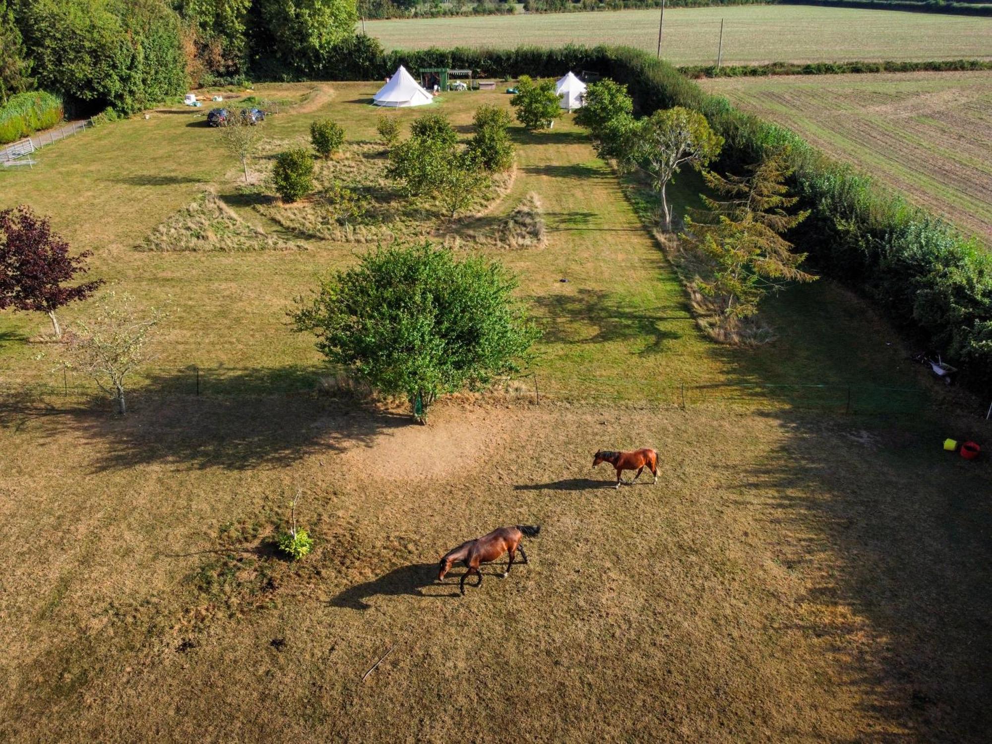 The Follies Glamping Hotel Maidstone Exterior photo